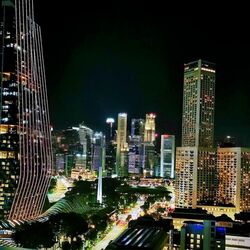 The M (D7), Apartment #480358991